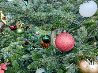 Natural Christmas tree with globes and other decorations in Romania