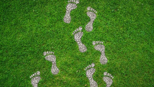 Footprints in the shape of cracked soil on the lawn