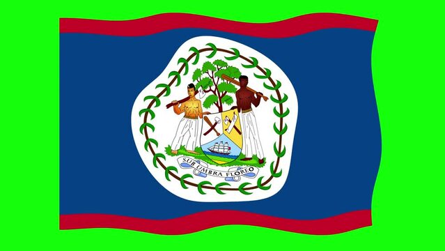 Belize Waving Flag 2D Animation on Green Screen Background. Looping seamless animation. Motion Graphic