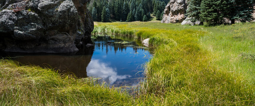 Sky and clouds reflected in pool of water in a lush meadow in the Valles Caldera National Preserve, New Mexico