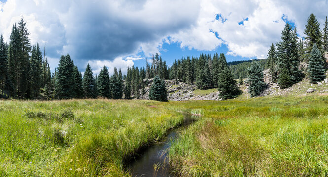 Stream through green meadow and mountains in the Valles Caldera National Preserve, New Mexico