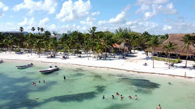 Wild tropical palms island beach. Pristine coral sand palm trees beach and crystal clean turquoise seawater. Mexico, Tulum, Cancun. Drone footage 4K.
