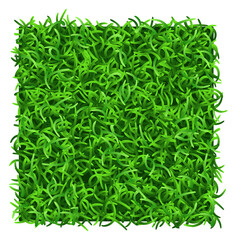 Grass patch top view. Realistic lawn tile