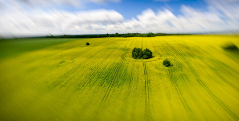 Aerial view of beautiful yellow meadows in open countryside