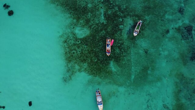 Top view on Caribbean sea. Wild tropical palms island beach. Pristine coral sand palm trees beach and crystal clean turquoise seawater. Mexico, Tulum, Cancun. Drone footage 4K.