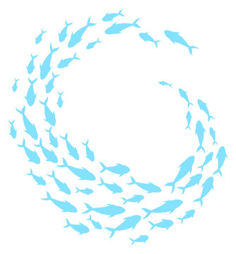 Fish shoal curl. Sea animal swimming group