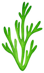green seaweed watercolor illustration