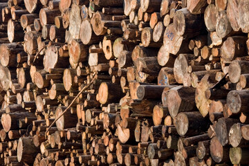 Rundholz Langholz Stapel 1