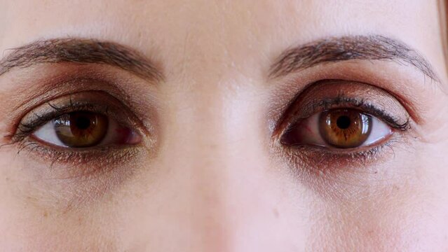 Woman, brown eyes and surprise expression with shock, fear or paranoid anxiety. Zoom on portrait, skin or vision for scared female in wow blink motion, alarm or panic for bad news with sight vision