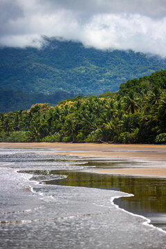 panorama of a tropical beach with palm trees in marino ballena national park in costa rica; relaxing on a paradise beach in costa rica, beach with cloudy mountains in background
