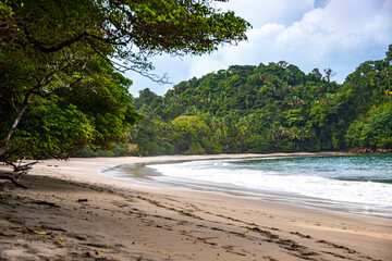 panorama of paradise beach in manuel antonio national park near quepos, costa rica; tropical beach with palm trees