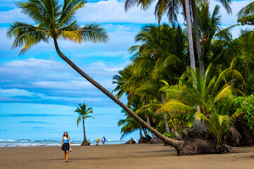 A beautiful girl in a short skirt walks under palm trees on a tropical beach in Costa Rica; marino...