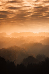 Aerial view of a foggy forest in the warm tones of sunset in Germany, dramatic sky

