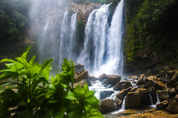 powerful nauyaca waterfall in costa rica at sunrise, large tropical waterfall in costa rica rainforest