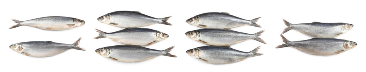 Set with tasty salted herrings on white background, top view. Banner design