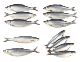 Set with tasty salted herrings on white background