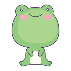 cute toad animal