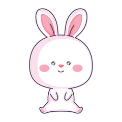 cute rabbit animal