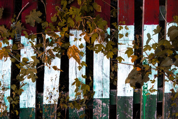 Hungarian flag decomposing on a wooden fence