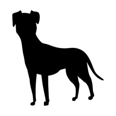 Dog silhouette, mongrel breed. Side view pet stand icon in black color. Make used for dog show, competition, pet store, guide dog, dog walking. Domestic animal isolated on white background