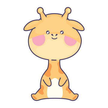 cute giraffe animal