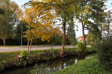 Picturesque view of river in beautiful park. Autumn season