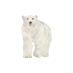 Foto op Canvas Polar bear. Watercolor illustration isolated on white background. Sketch animal. Cute wild bear. Picture. Image © Makarova Art