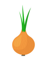 Onion. A whole onion with green feathers. Flat simple design. Isolated on a white background.
