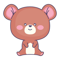 cute bear animal