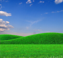Landscape with green field and green hills