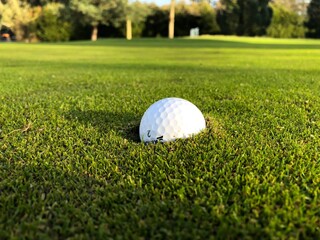 golf ball on green
