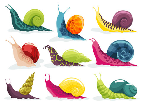 Snails crawling set. Collection snailfish colour shell. Colourful mollusk characters isolated in cartoon style. Multicolored slugs, gastropods, snail-shaped for kids design or speed snail-paced