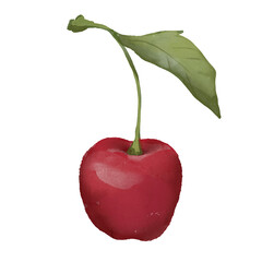 Watercolor food illustration of cherry berries