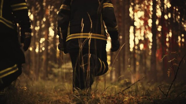 Group of Firefighters Investigating a Small Fire Source Deep in a Wildland Forest. Cautious Firemen Lucky to Make It in Time Before Flames Spread and Become Uncontrollable.