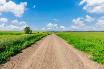 Straight country road and green wheat fields natural scenery on a sunny day