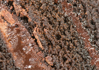 Close Up Texture of Chocolate Cake