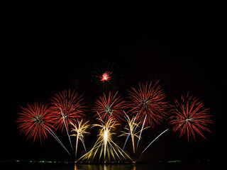 Fireworks in the night sky	
