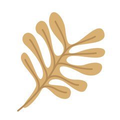 hand drawn shapes and floral design elements. Exotic jungle leaves. Abstract contemporary modern trendy illustrations element icon