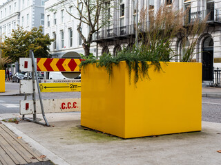 Flowerbed in Cork, Ireland