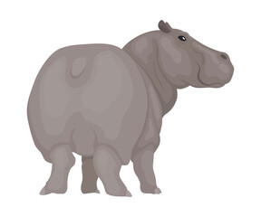Obraz na płótnie Canvas Hippo. Hippopotamus cartoon character. African animal, zoo and wildlife concept. Large gray wild creature standing on white background