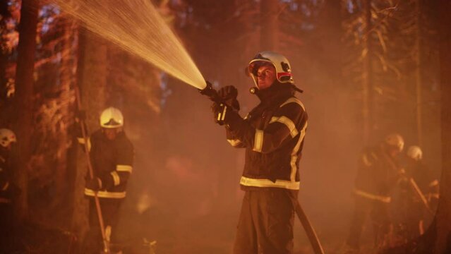 Portrait of a Handsome Professional Firefighter Methodically Extinguishing a Forest Fire with the Help of a Fire Hose. Firemen Brigade Rescuing Wildland from Uncontrollable Arson.