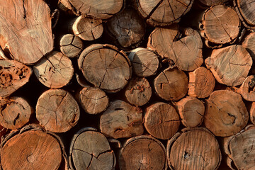 Fototapeta premium Logs of firewood piled together.