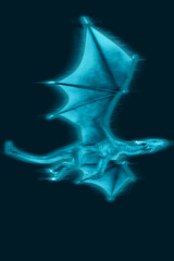 dragon is passing by