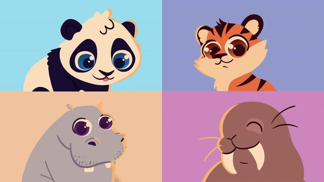four cute animals characters animation