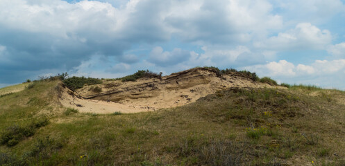 Fototapeta na wymiar Dune Landscape Panorama Netherlands