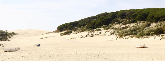 Papier Peint photo autocollant Plage de Bolonia, Tarifa, Espagne La plage naturelle et sauvage de Bolonia, située à une vingtaine de kilomètres au nord de Tarifa en Andalousie en Espagne, a une grande dune de sable blanc de 30 mètres de haut et 200 mètres de large