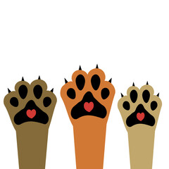 Dog paws 