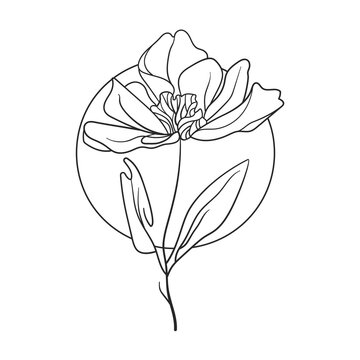 One line flower drawing in circle. Continuous drawing line art of flower with black line and white background. 