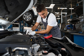 Portrait of man checking technical condition of battery