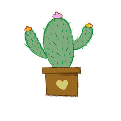 cactus isolated on white